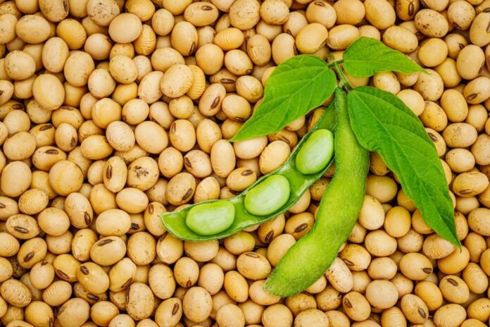 Global Agricultural Trends