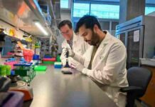New Blood Test Shows Promise for Early Pancreatic Cancer Detection